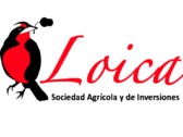 Logo Loica SpA