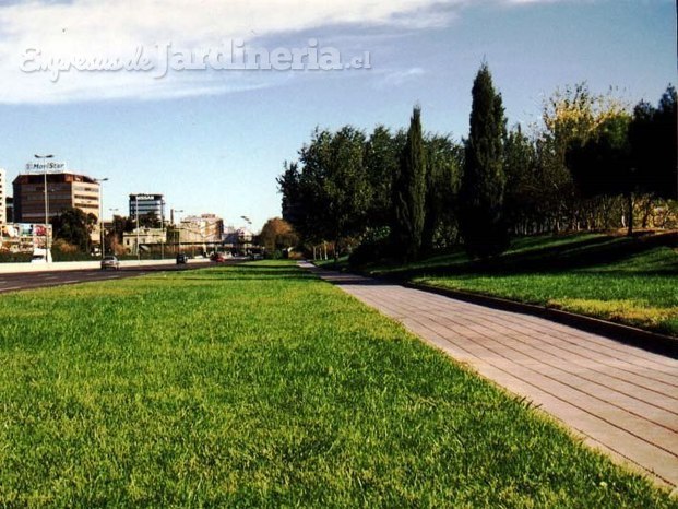 Áreas verdes Píblicas - Autopista Barcelona España.jpg