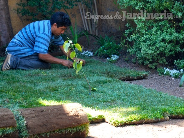 construccion de jardines y aresa verdes