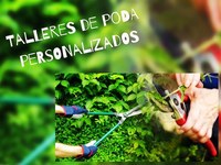 Talleres de poda para tu jardín 